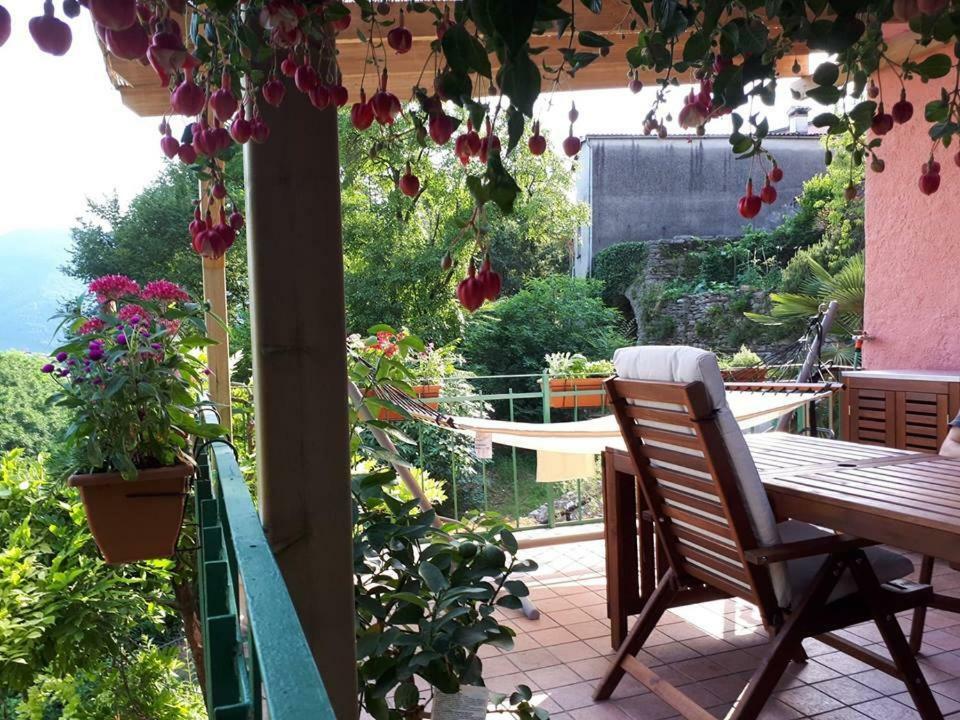 Sequsino La Casa Rosa Di Segusino With Spa Jacuzzi In Garden מראה חיצוני תמונה